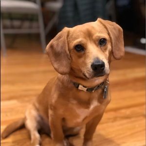 Meet your Posher, Julia